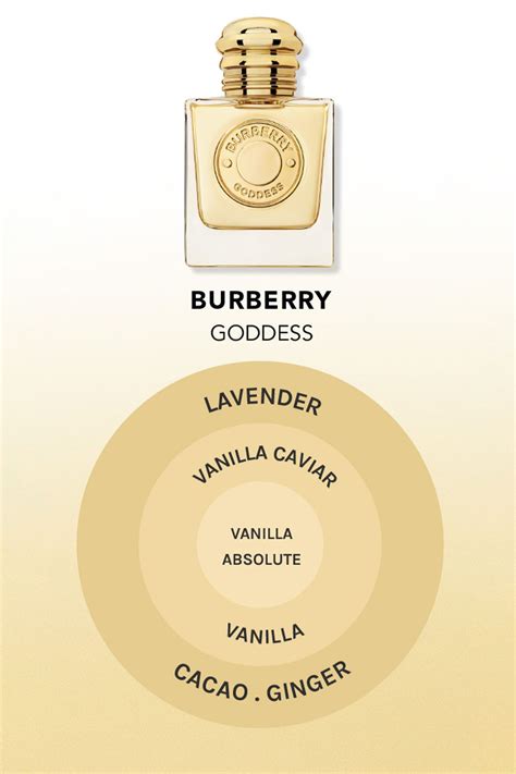 what does burberry perfume smell like|burberry her vs goddess.